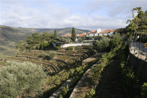 16154406092013_quintadonoval