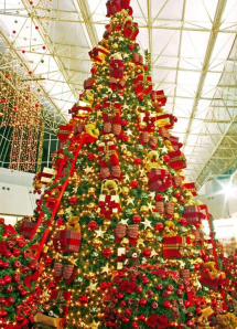 17502314112013_foto1