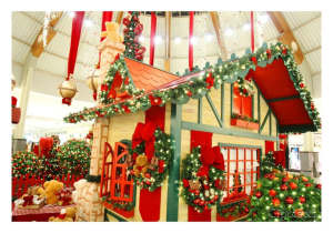 17502614112013_foto3