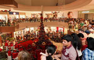 12423713122013_IMG_0172