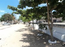 Viva Ambiental - Ponto Vivo