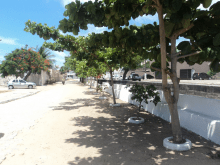 Viva Ambiental - Ponto Vivo